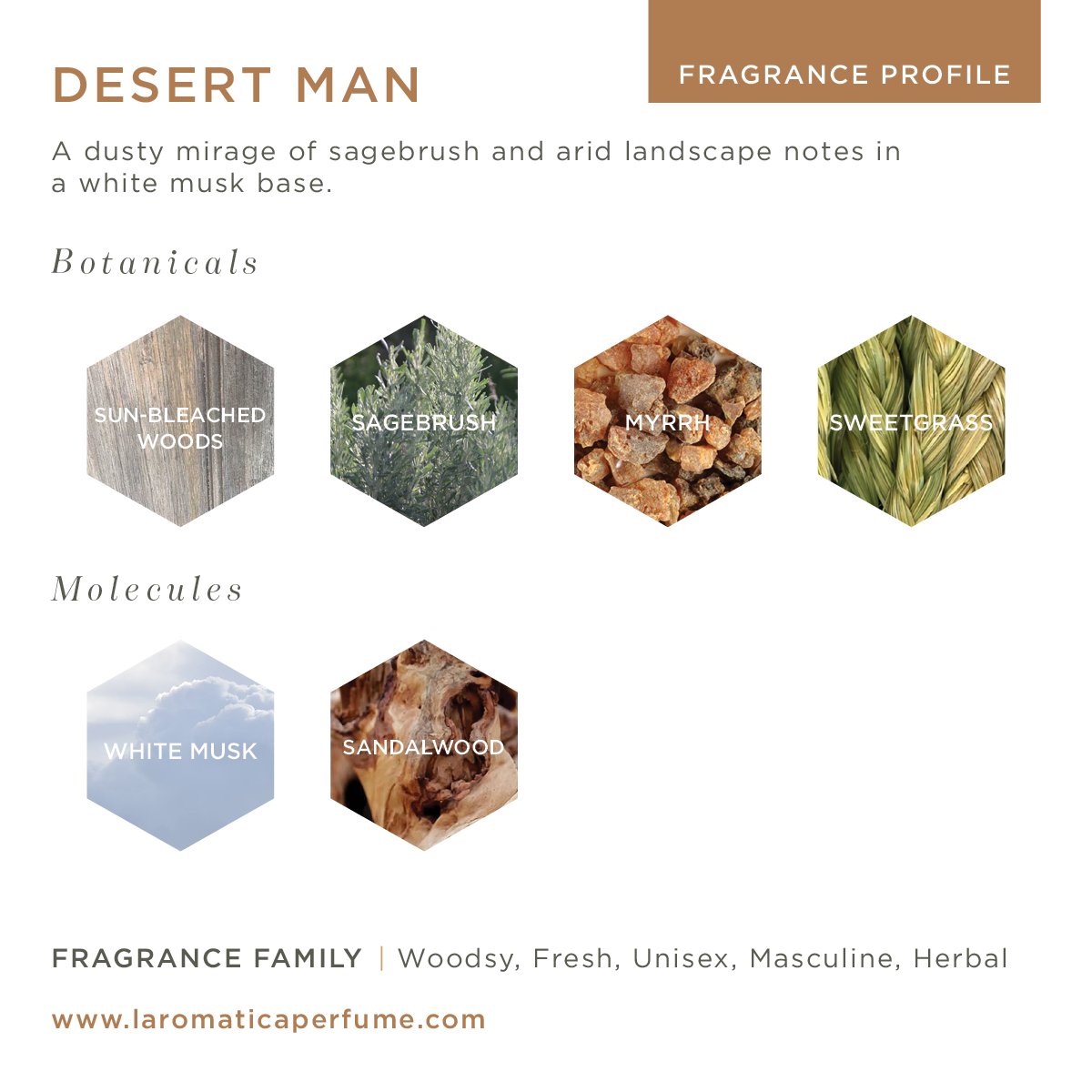 Image of Desert Man