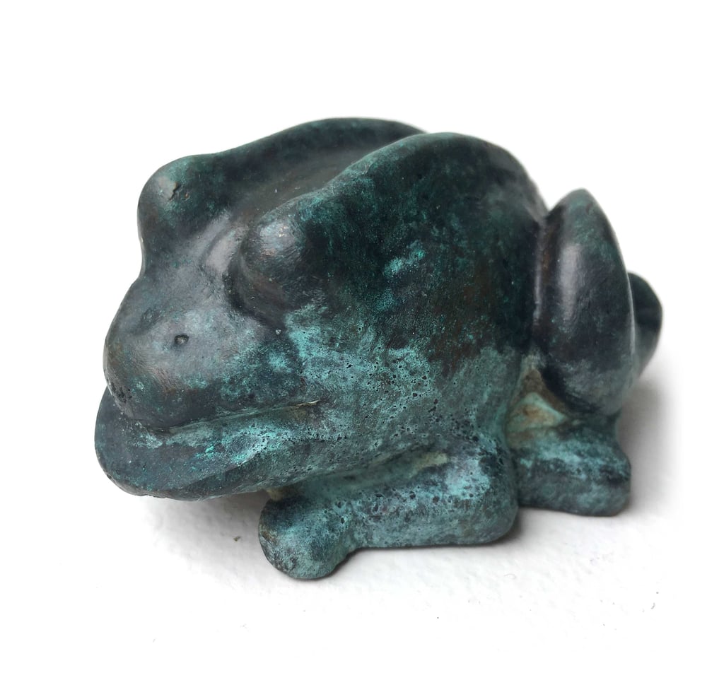 Image of Heavy Metal Frog