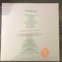 Image 2 of The Lions Meet Dub Club - This Generation In Dub Vinyl LP