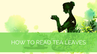 How to Read Tea Leaves - Video Workshop 
