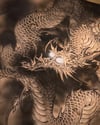 Dragon wash ( ORIGNAL )