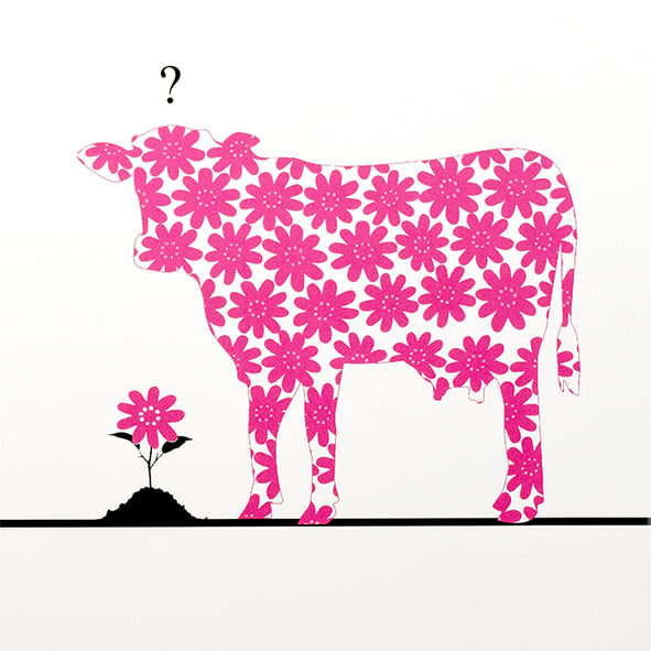 Image of FLOWER COW -  MEIERIROSA  