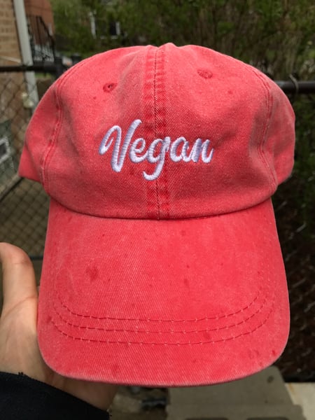 Image of Vegan hat
