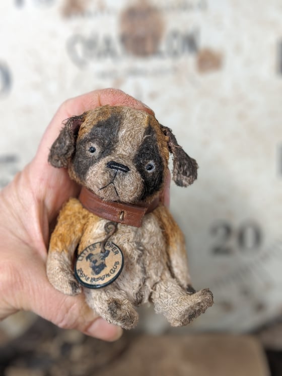 Image of Teenie-Weenie 4" old St. Bernard dog in leather collar by whendis bears