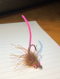 Image 1 of Corya’s Carpin’ Bug 
