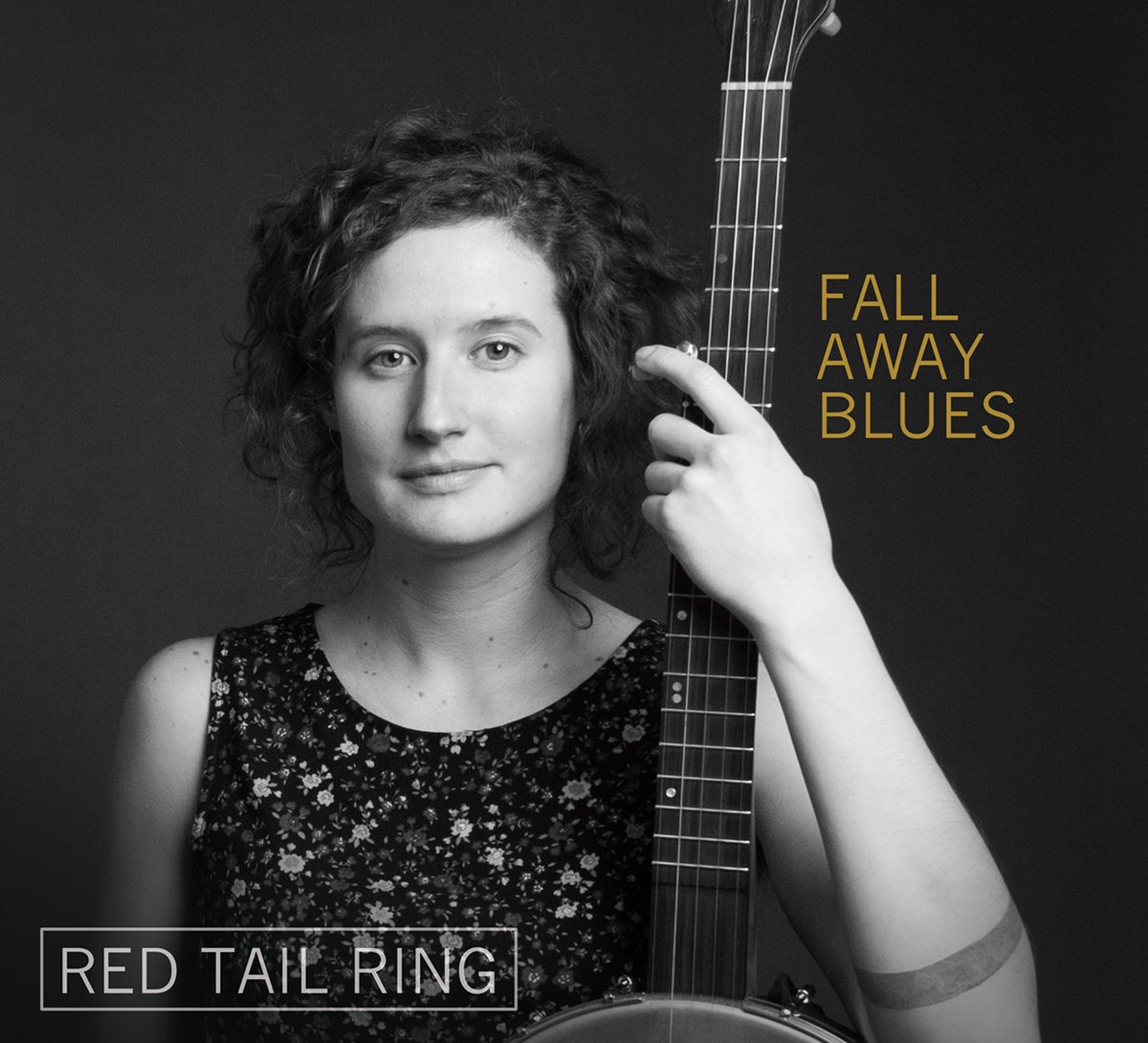 Image of Fall Away Blues - CD