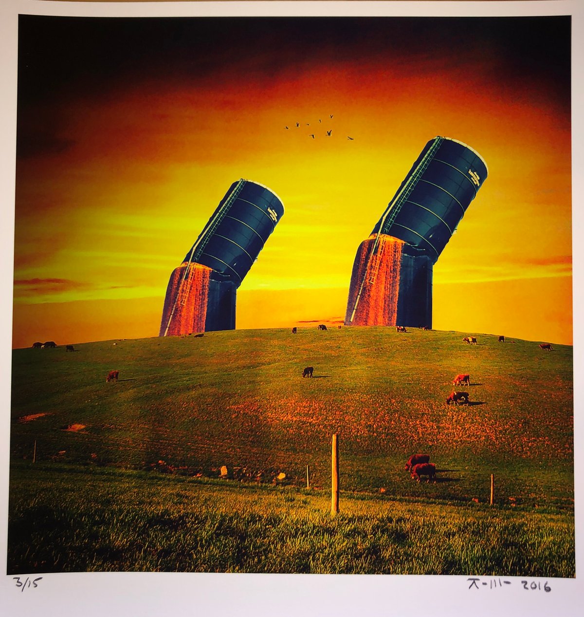 Untitled #2 (Print 3/15)
