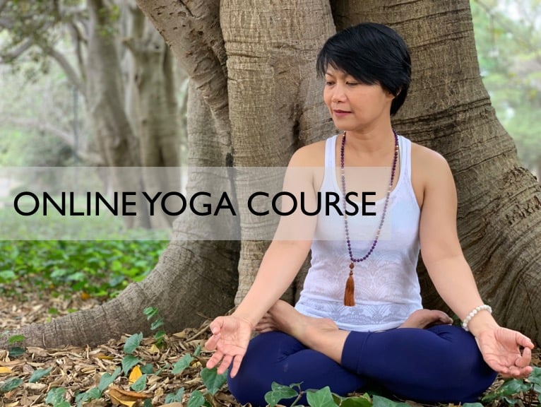 Image of Online Yoga Course