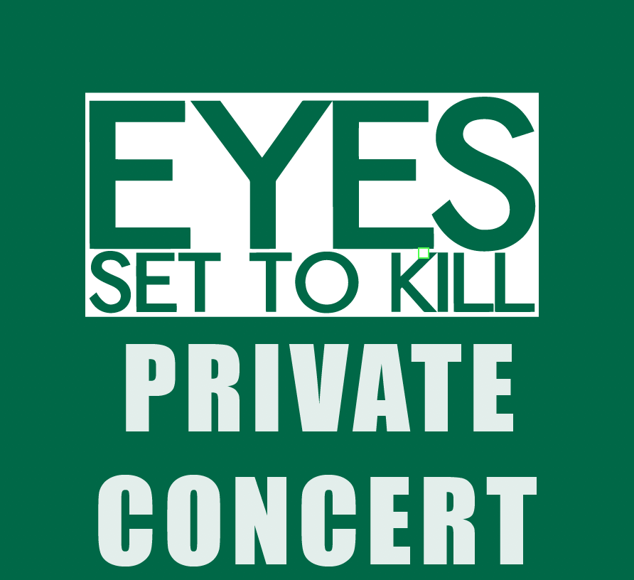 Image of PRIVATE CONCERT with ESTK
