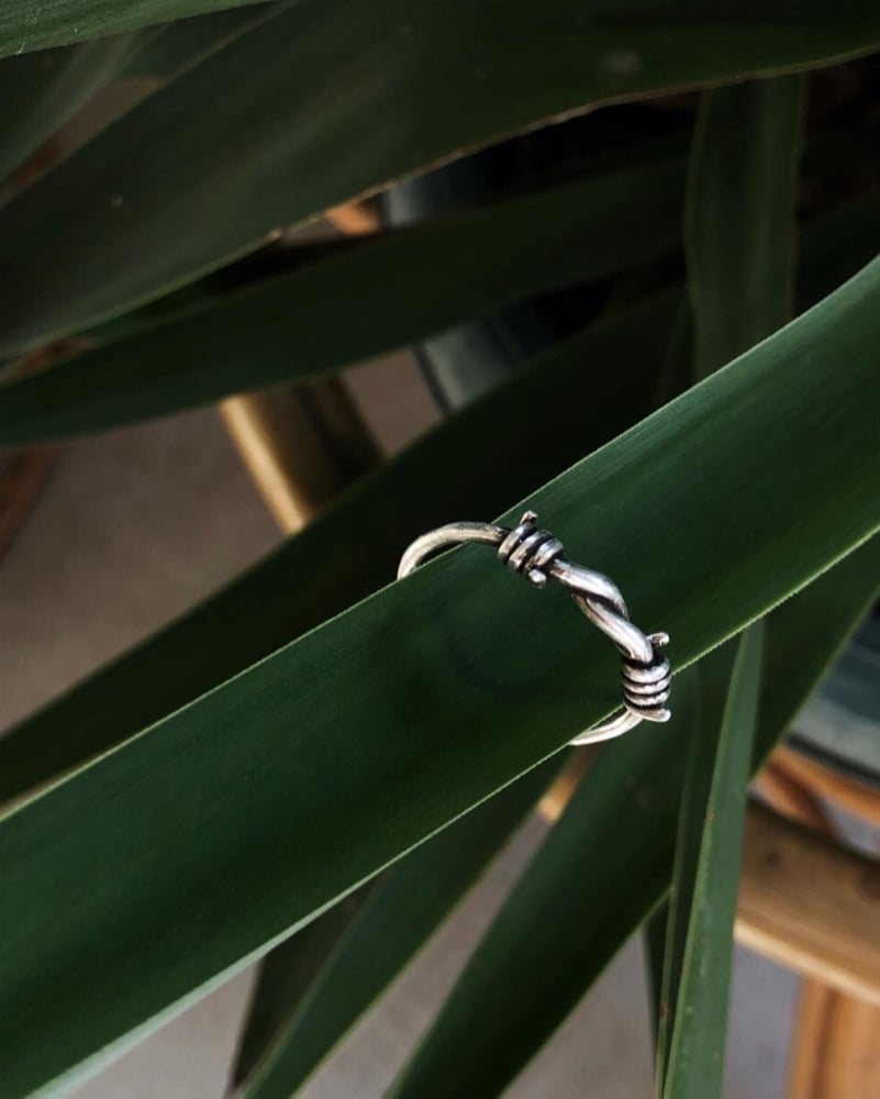 Image of barbed wire ring