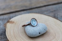 Image 1 of Light Blue Speckle Enamel Dish Ring