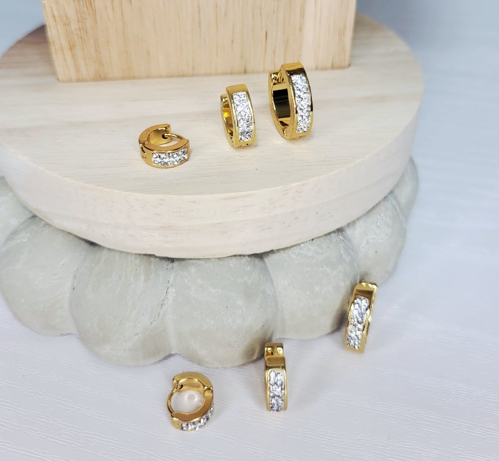 Image of Berlin Hoop Earrings 