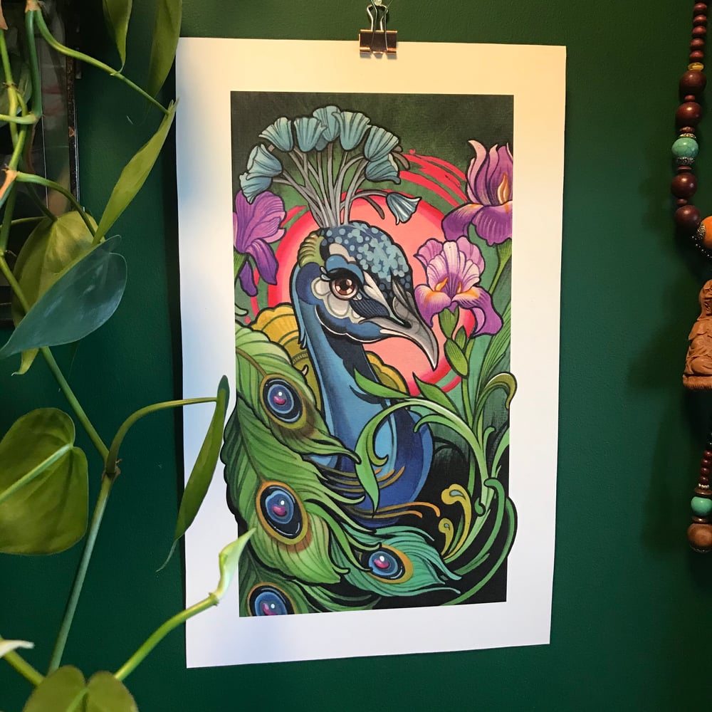 Image of Peacock Feathers