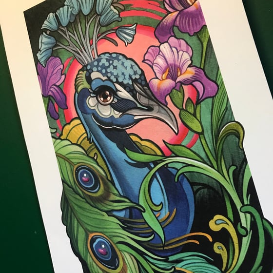 Image of Peacock Feathers