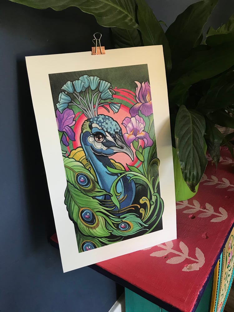 Image of Peacock Feathers