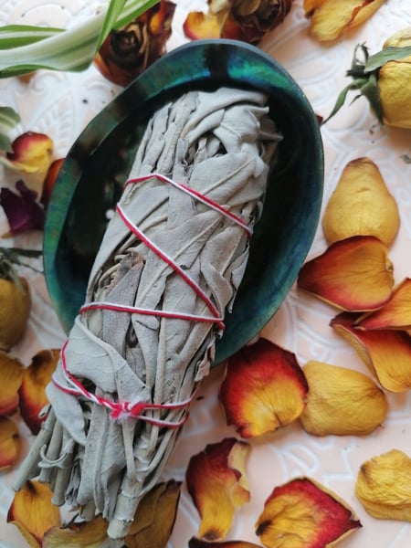 Image of Medium white sage smudge stick