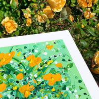 Image 2 of Windowsill Orange Poppies 