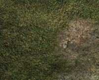 Image 2 of Shadow Deep -- 3' x 3' -- #930