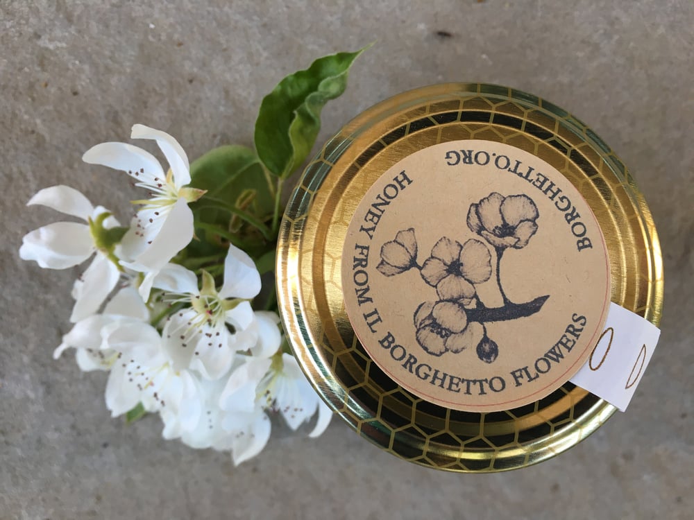 Image of SPRING APIeOLIVE #sostieniagricolturabiologica / SPRING BEESandOLIVES Box #supportorganicagricolture