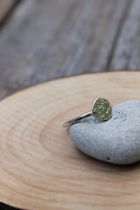 Image 1 of Textured Silver Circle ring