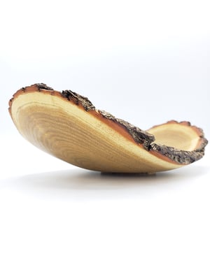 Image of Winged Sassafrass Live Edge Bowl