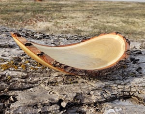 Image of Winged Sassafrass Live Edge Bowl