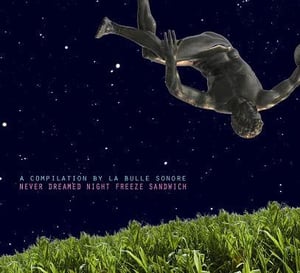 Image of Various Artists: Never Dreamed Night Freeze Sandwich
