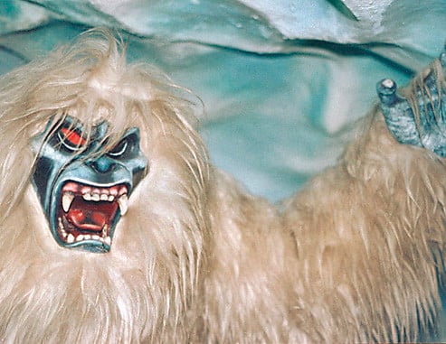 The “Yeti” 