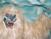 Image 2 of The “Yeti” 