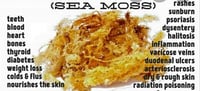 Image 2 of Irish Moss Gel 