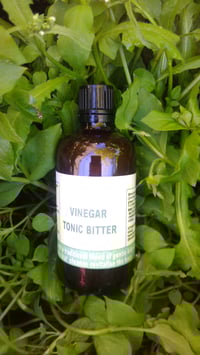 Apple Cider Vinegar Herbal Bitters 