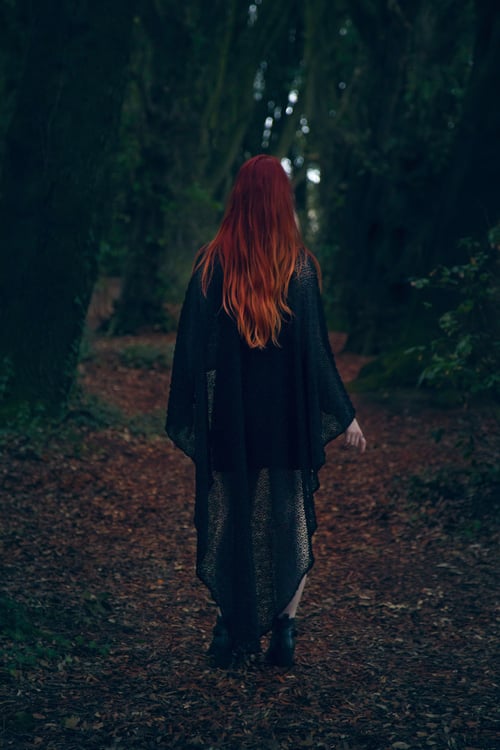 Image of Queen of Westeros Dress