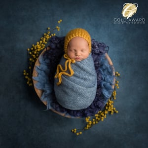 Image of Training & Mentoring Sessions