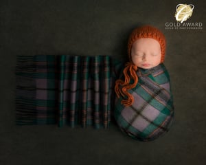 Image of Training & Mentoring Sessions