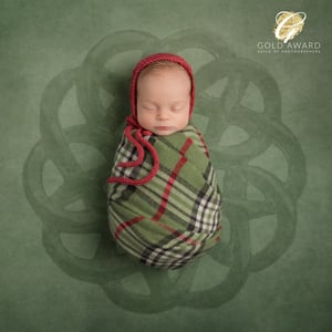 Image of Training & Mentoring Sessions