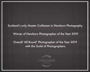 Image of Training & Mentoring Sessions