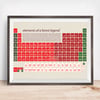 Nottingham Forest - Elements of a Forest Legend