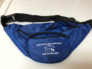 Image of BEAUTY'S HAVEN FANNY PACK
