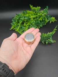 Image 5 of Mini Vintage decorative Jar with  Real Preserved Web