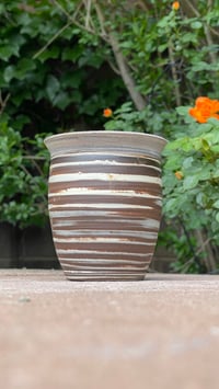 Image 4 of Mixed Cup 11