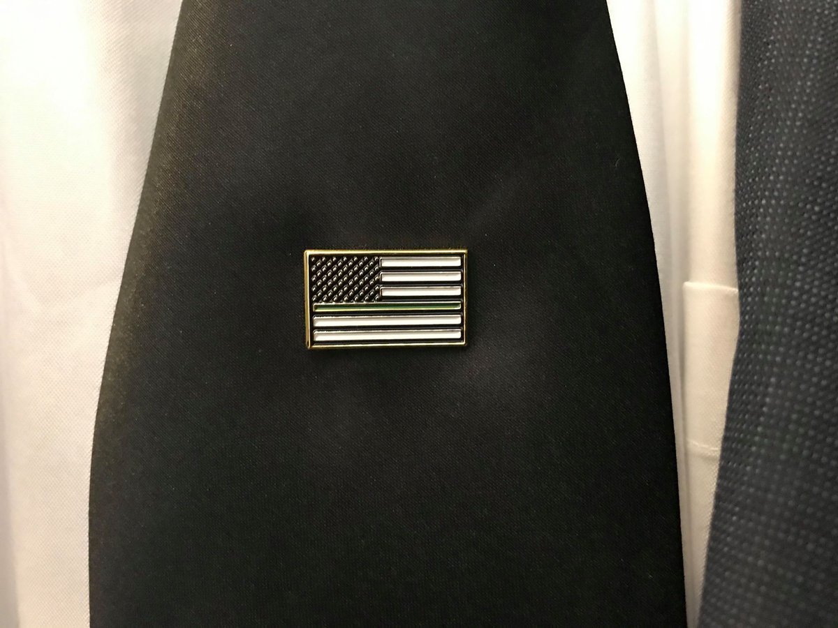 Image of GREEN LINE LAPEL PIN