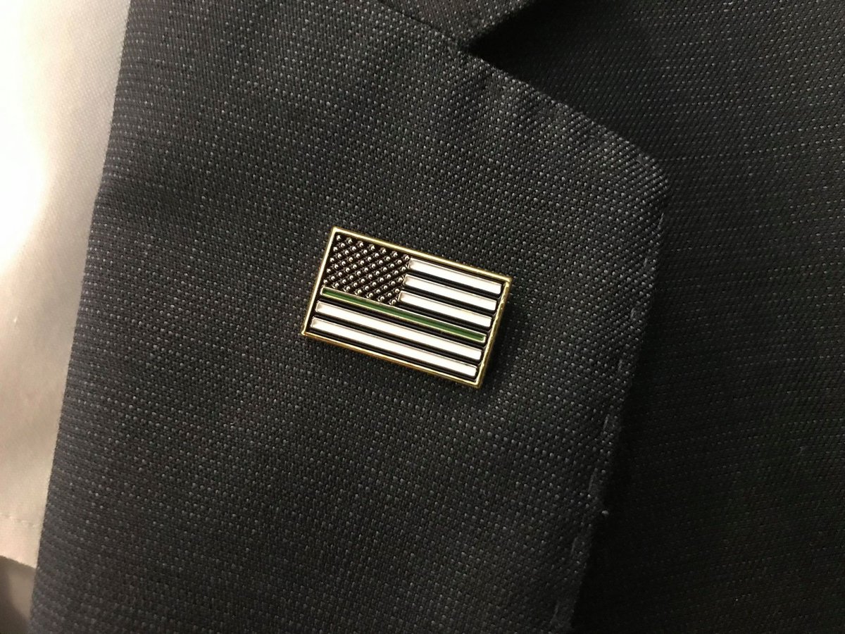 Image of GREEN LINE LAPEL PIN