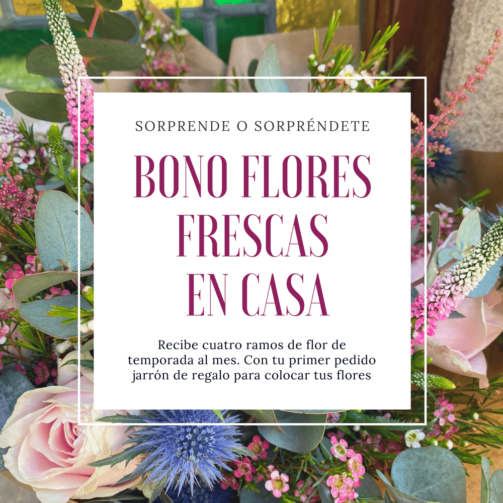 Image of Bono flores en casa