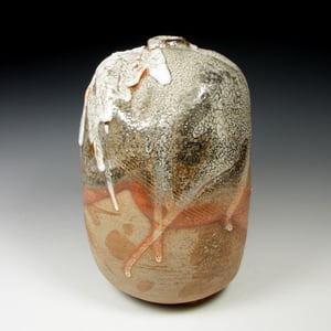 Shino carbon trap bottle (e004)