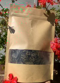 Image 1 of Caribbean Black Sage