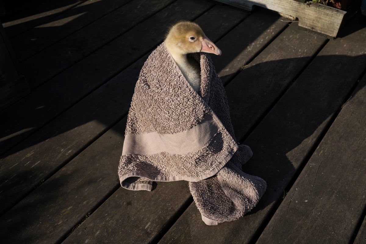 XAVIER DRYING - PRINT