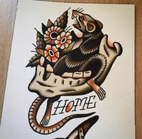 Image 2 of Flash set vol 1