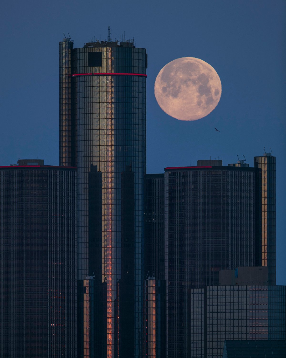 Image of La Luna