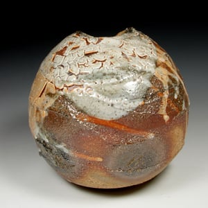 Shino carbon trap bottle (e003)