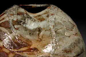 Shino carbon trap bottle (e003)